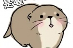 Little otter expression pack