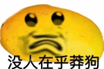没人在乎莽狗表情包