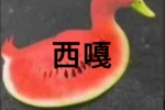 西嘎表情包