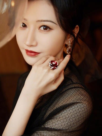 Pictures of Jingtian's black gauze and floral embroidery dress