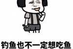钓鱼也不一定想吃鱼