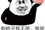 有脑子我不用，我就是傻着，哎，就是玩儿