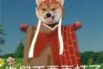 Shiba Inu version of New Journey to the West funny emoticon pictures