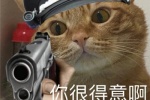 Kitten police funny emoticon picture