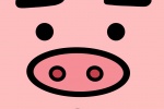 呆板