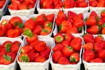 Fresh strawberry picture material HD wallpaper