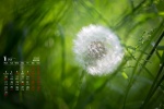 January 2022 green plant eye protection calendar wallpaper