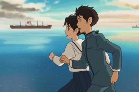 HD《poppy blooming hillside》picture wallpaper