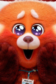 Metamorphosis of Youth star-eyed panda avatar