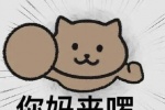 你妈来啰热门猫咪表情包