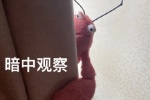 暗中观察表情包