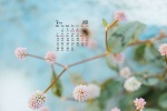 2022年3月小清新静物花卉日历壁纸