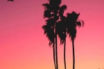 Sunset and dusk scenery mobile wallpaper pictures