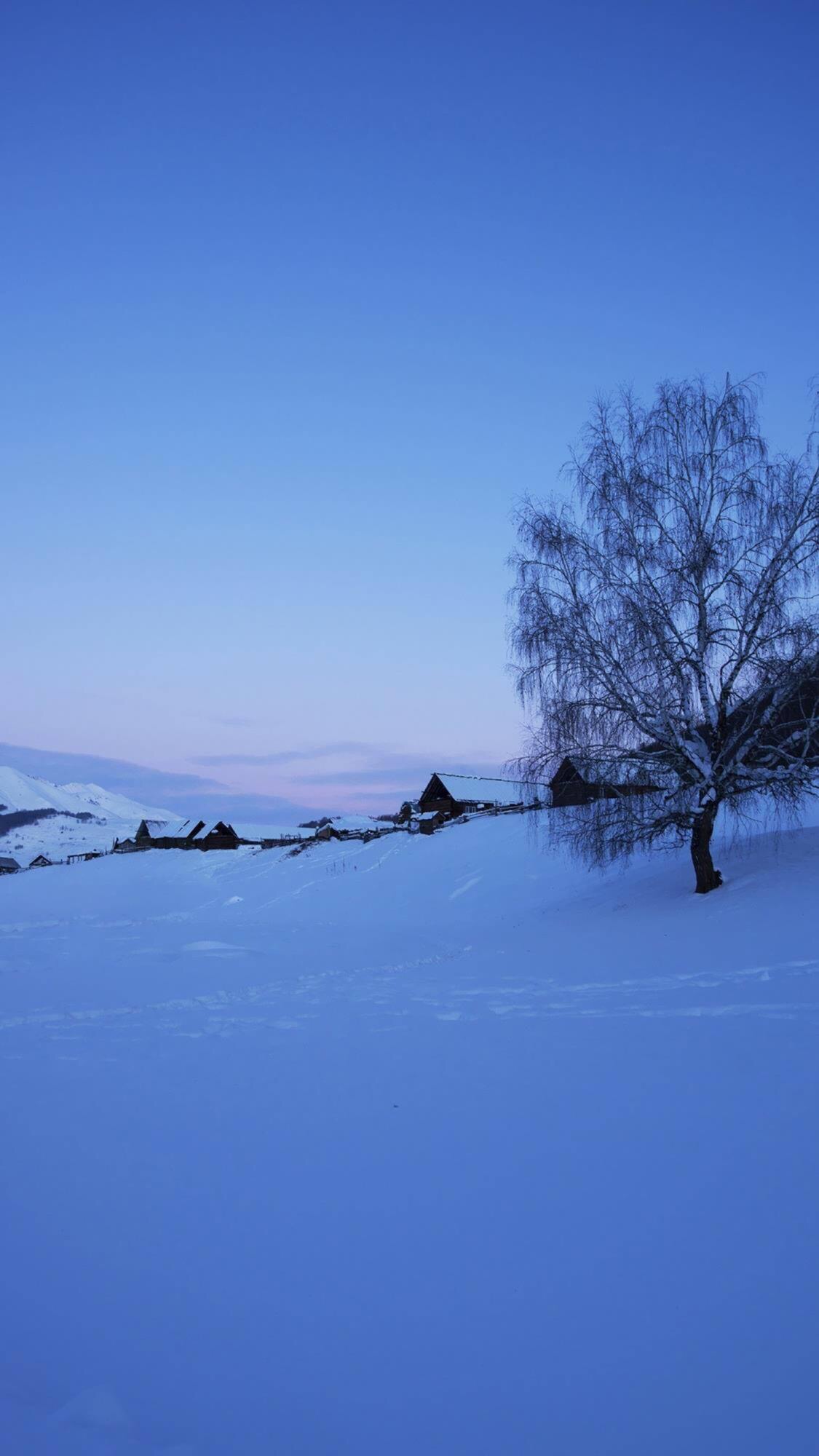 唯美的初雪景色高清手机壁纸 冬季雪景手机壁纸 三千图片网