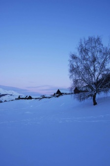 唯美的初雪景色高清手机壁纸