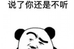 说了你还是不听