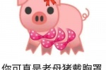 你可真是老母猪带胸罩，一套又一套