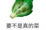 要不是真的菜，谁不愿意狗呢