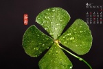 2022年4月節氣穀雨日曆壁紙