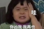 哇 你凶我 我再也 不和你天下第一好了