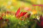 October 2022 Calendar Wallpaper
