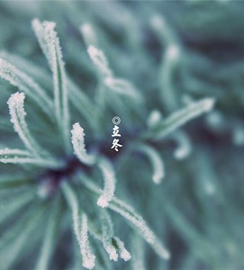 立冬节气唯美带字图片