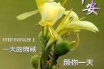 早安，愿你一天好心情