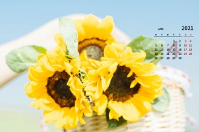 2021年4月小清新靜物花卉桌麵日曆壁紙