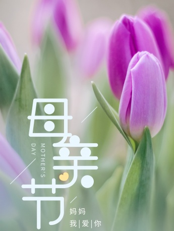 Mother's Day HD mobile wallpaper pictures