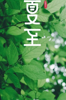 Beautiful pictures of traditional solar terms and summer solstice