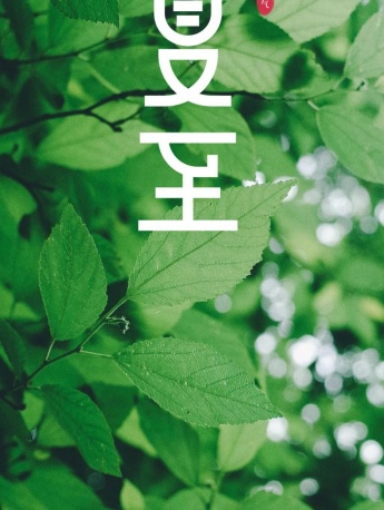 Beautiful pictures of traditional solar terms and summer solstice