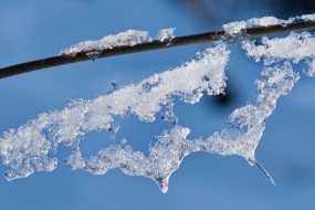 冬天的冰晶圖片桌麵壁紙