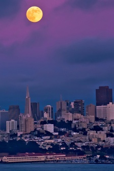 Full moon picture in the night sky HD mobile wallpaper