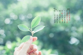 July 2021 small fresh green floral desktop calendar wallpaper