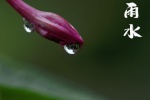 24 Solar Terms: Rain Season Picture Wallpaper