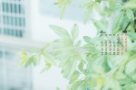 April 2022 green theme landscape calendar wallpaper