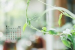 January 2022 small fresh green flower computer calendar wallpaper
