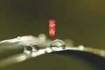 二十四節氣穀雨高清圖片