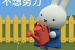Summary of Miffy Rabbit themed expression packs