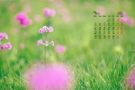 July 2021 fresh summer scenery desktop calendar wallpaper