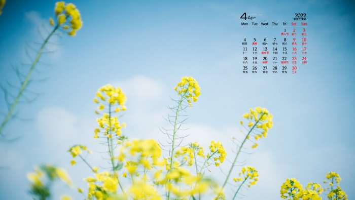 April 2022 fresh spring flowers HD calendar wallpaper