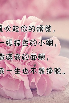 妇女节祝福文案图文精选