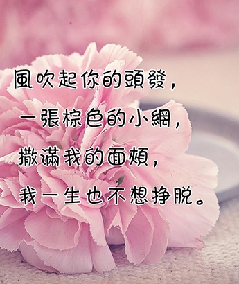 婦女節祝福文案圖文精選