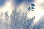 Traditional solar term winter solstice frost flower picture desktop wallpaper