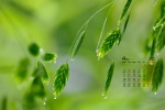 April 2022 fresh eye-protecting green leaves calendar wallpaper