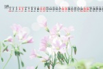 Fresh and elegant HD calendar wallpaper for December 2021