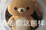 看看你你这熊样