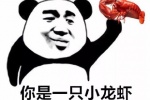 你是一只小龙虾又小又聋又眼瞎