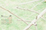 2022年4月小清新護眼日曆壁紙