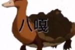 八嘎表情包